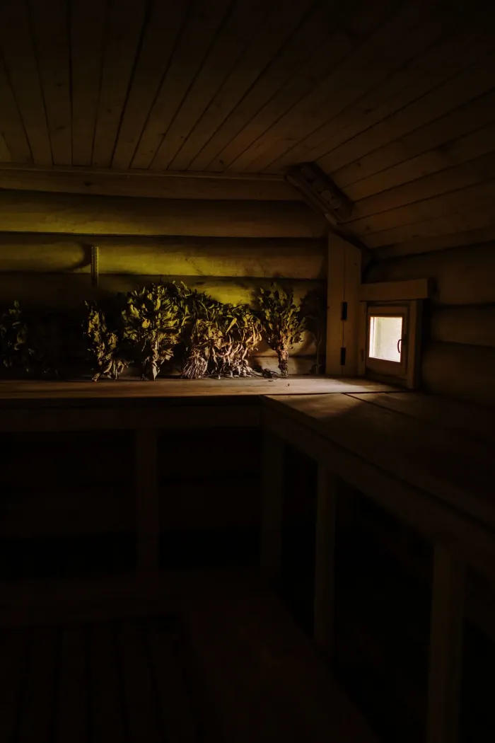 Sauna Rave · 2